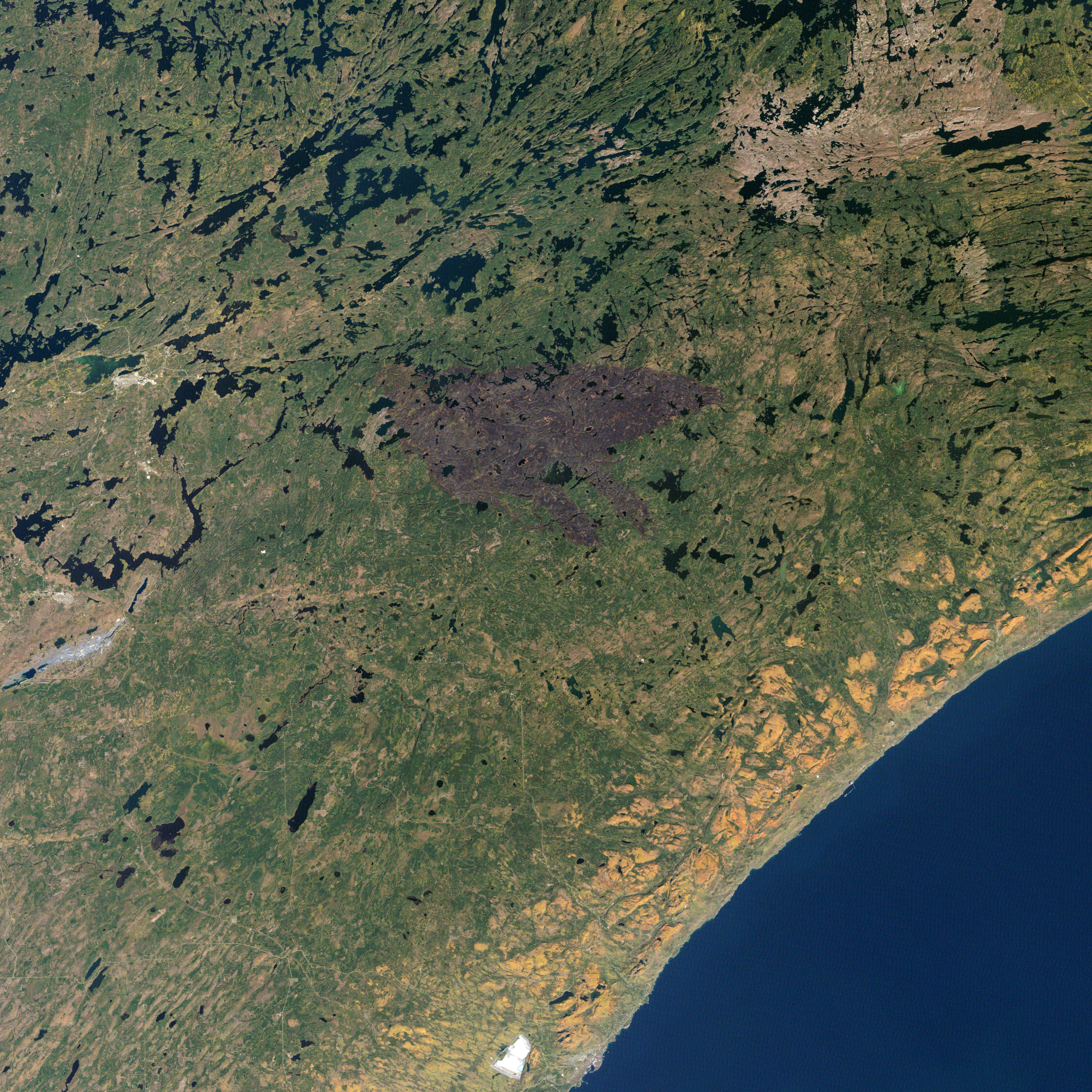 Burn Scar from the Pagami Creek Fire in Minnesota - related image preview