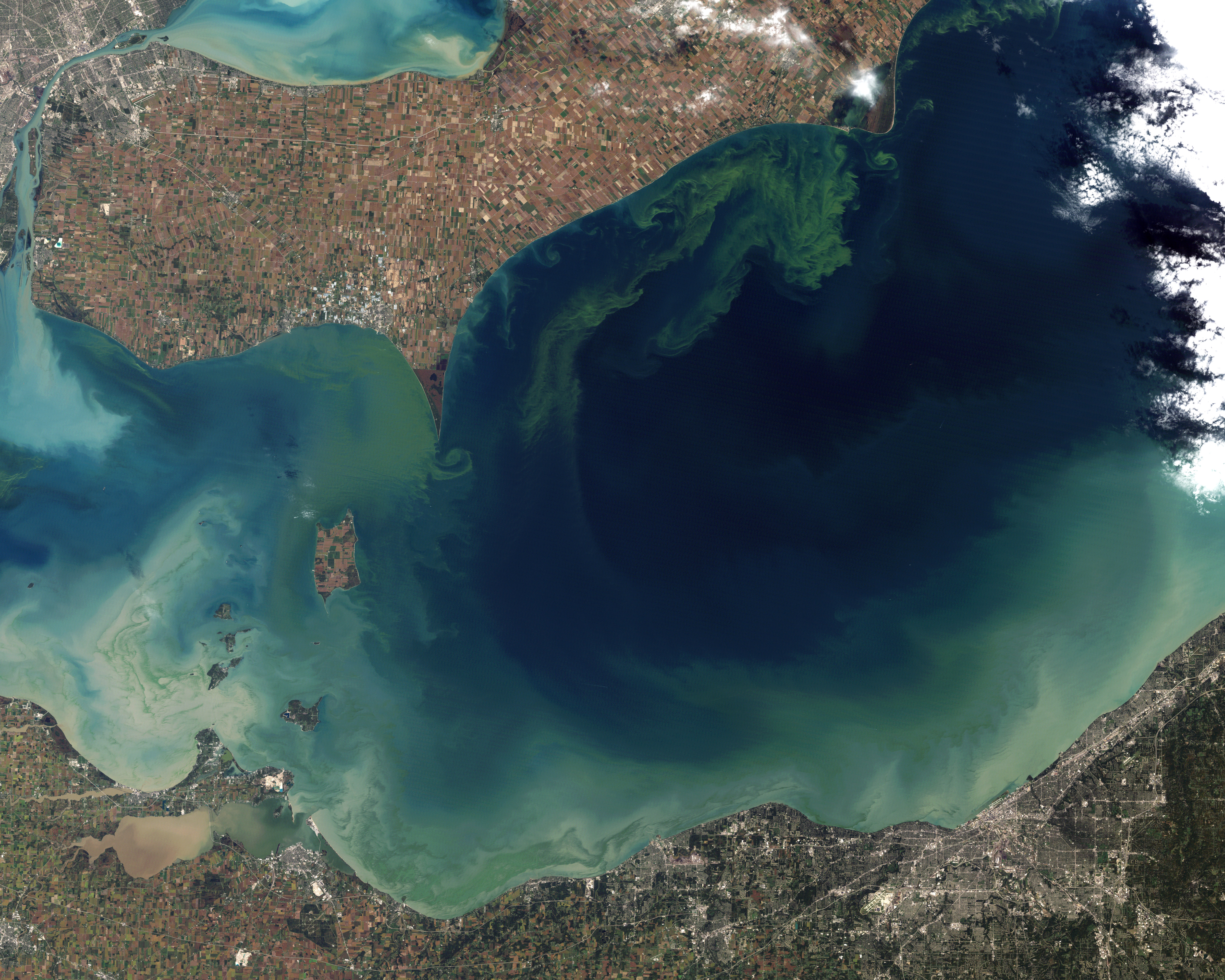 Toxic Algae Bloom in Lake Erie - related image preview