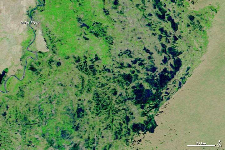 Flooding in Southern Pakistan