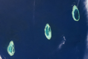 Rowley Shoals, Timor Sea