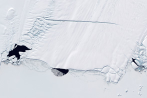 Polynyas and the Pine Island Glacier, Antarctica
