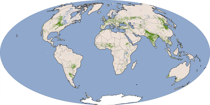 Global Croplands