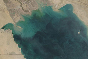 Green Hues Dominate the Persian Gulf