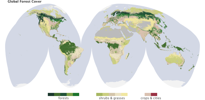 Global Land Cover Classification - related image preview