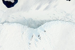 Ice Varieties along the Antarctic Coast