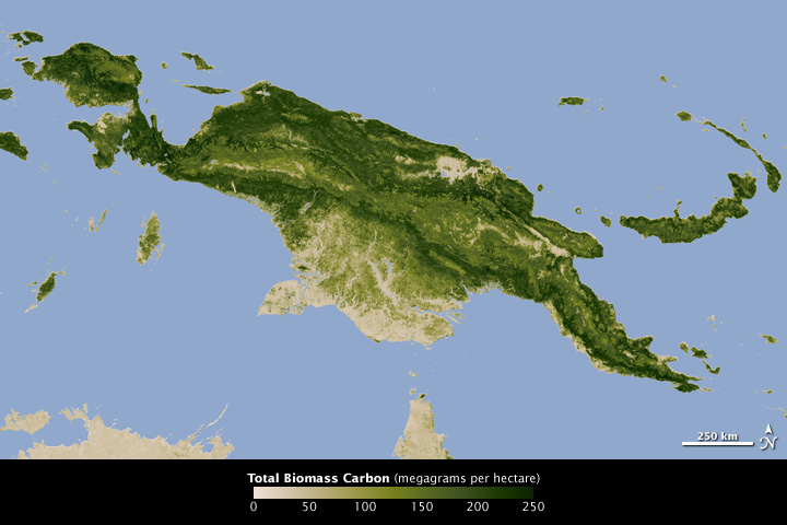 Measuring Carbon and Trees in the Tropics - related image preview