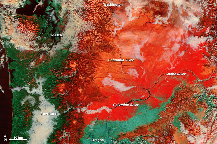 False color - January 23, 2012