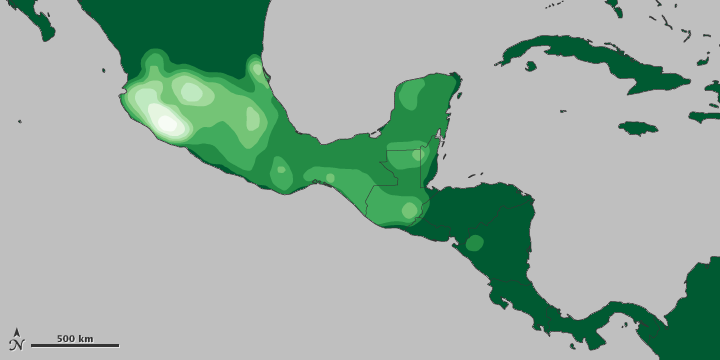 Mayan Farming, Modern Farming: Land Use in Central America