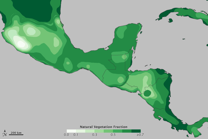 Mayan Farming, Modern Farming: Land Use in Central America - related image preview