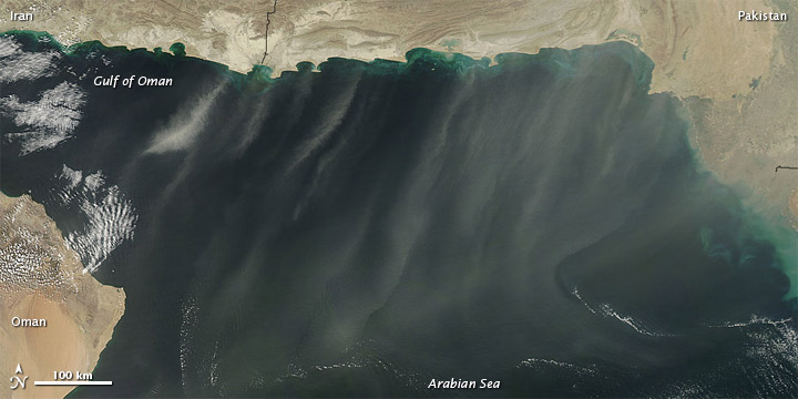 Dust over the Arabian Sea