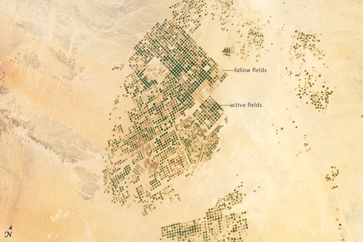 Agricultural Fields, Wadi As-Sirhan Basin, Saudi Arabia