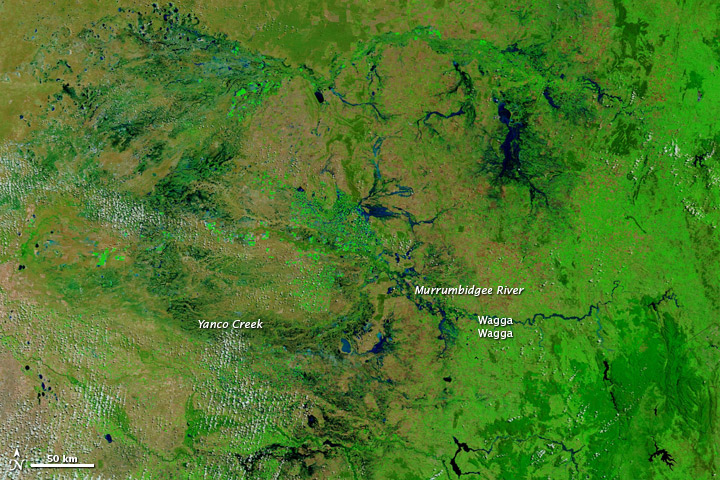 Widespread Flooding in New South Wales