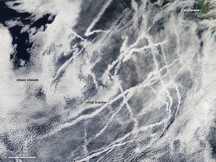 Ship Tracks off the California Coast