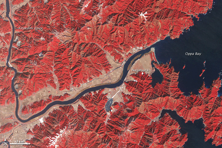 Effects of the Tohoku Tsunami on the Kitakami River