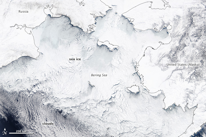 Bering Sea Teeming with Ice - related image preview