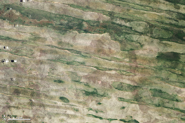 Linear Dunes of the Caprivi Strip