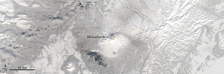 Continuing Eruption of Shiveluch 
