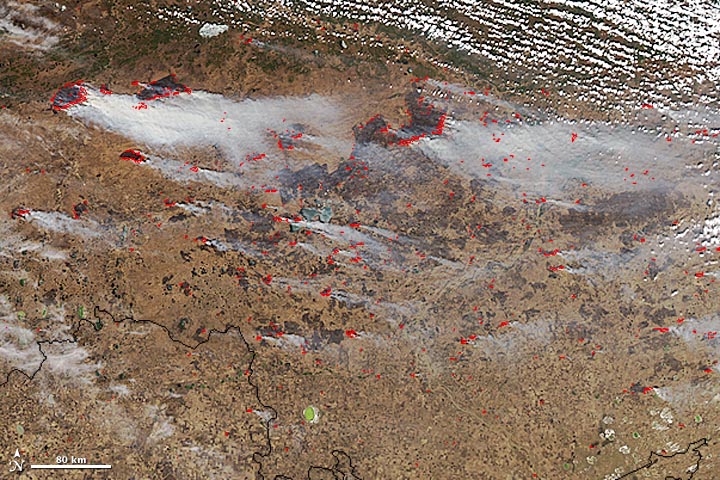 Fires Blaze North of Omsk - related image preview
