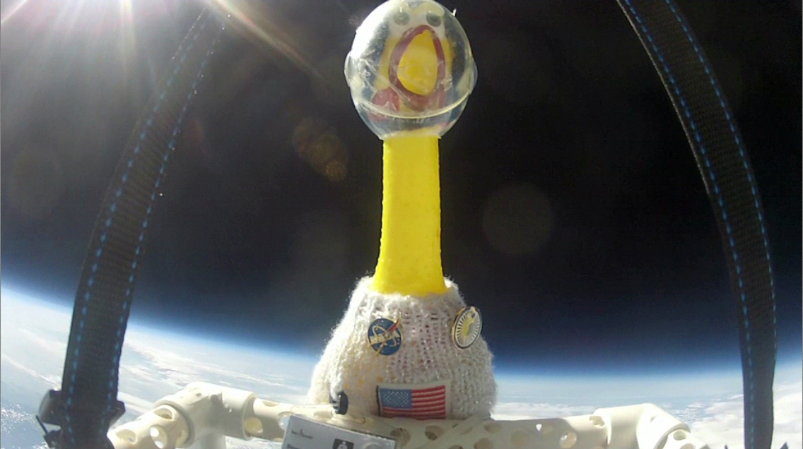 Rubber Chicken in Space - related image preview
