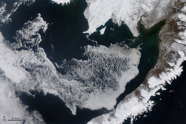 Sea Ice in Alaska’s Bristol Bay - related image preview