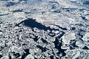 Methane Emissions from the Arctic Ocean