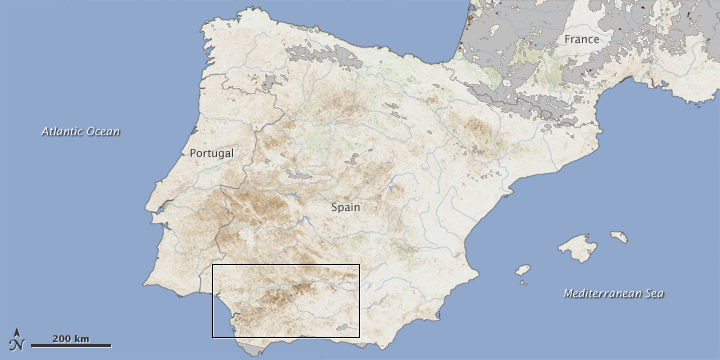 Drought Hits Spain’s Wheat Crop - related image preview