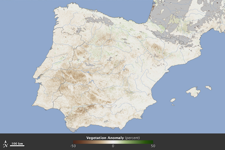 Drought Hits Spain’s Wheat Crop - related image preview