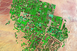 Crop Circles in the Desert - selected image