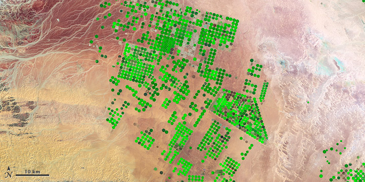 Crop Circles in the Desert - related image preview