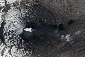 Plume from the Karymsky Volcano