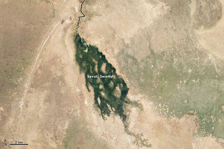 Not Your Usual Flooding in Botswana - related image preview