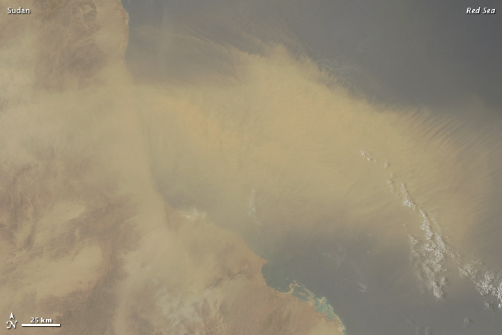 Dust Plume over the Red Sea