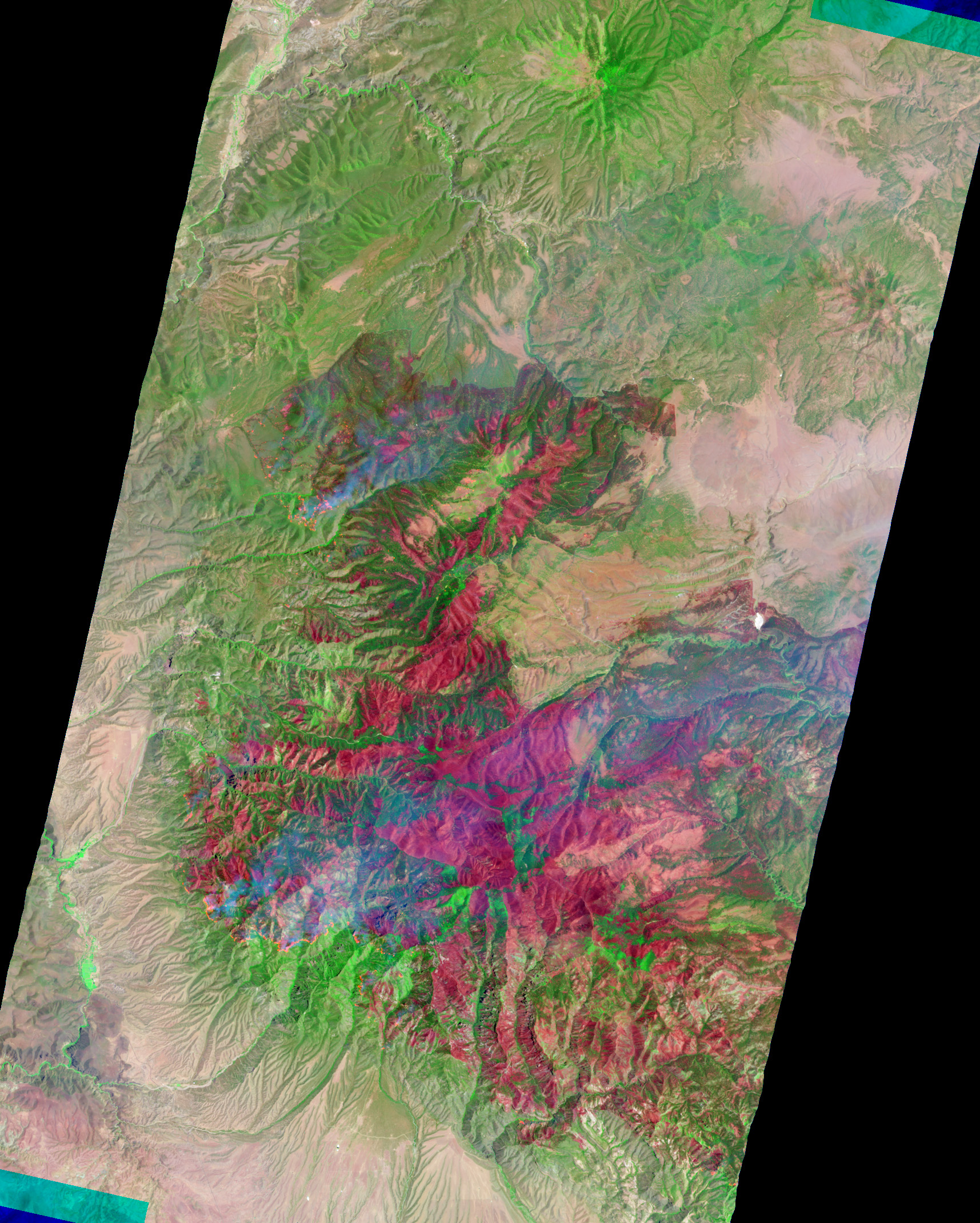 Whitewater-Baldy Fire in New Mexico - related image preview