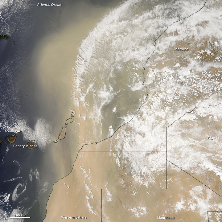 Saharan Dust Storm