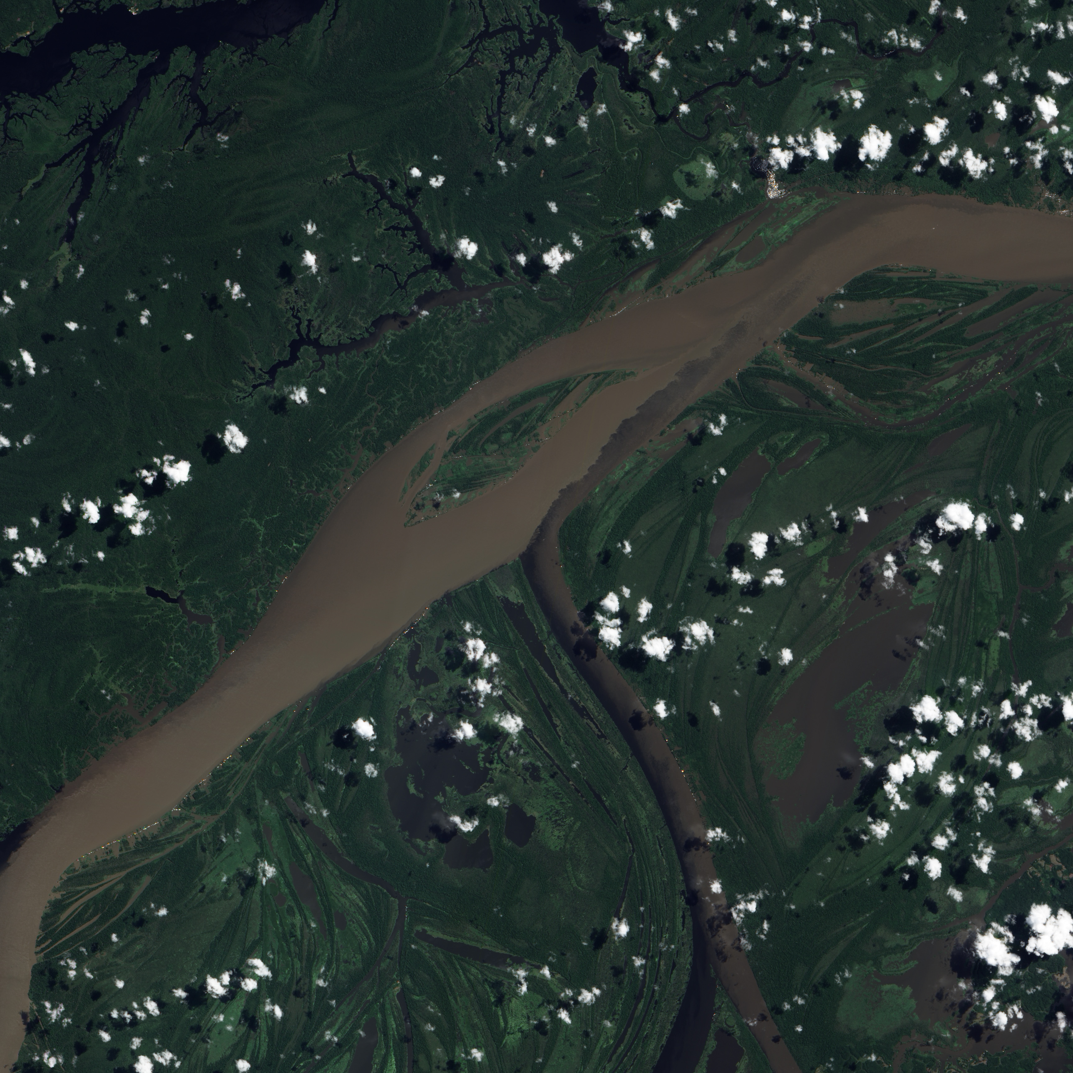Amazon River - related image preview