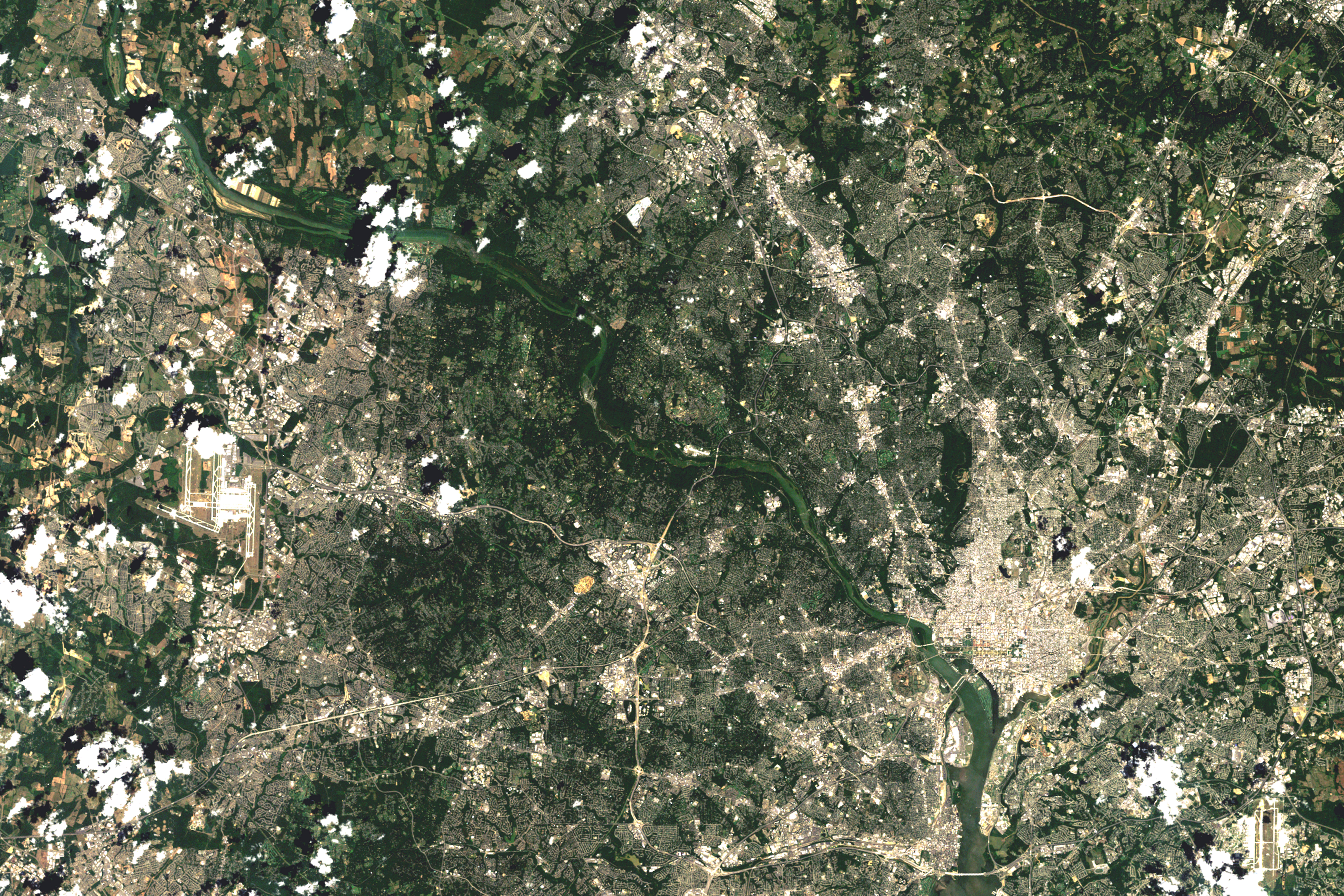 Growth in Washington, District of Columbia - related image preview
