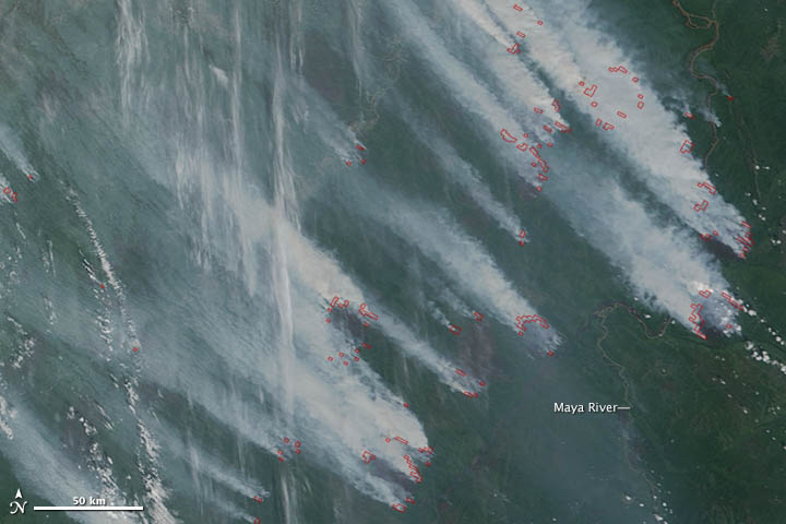 Fires in Siberia - related image preview