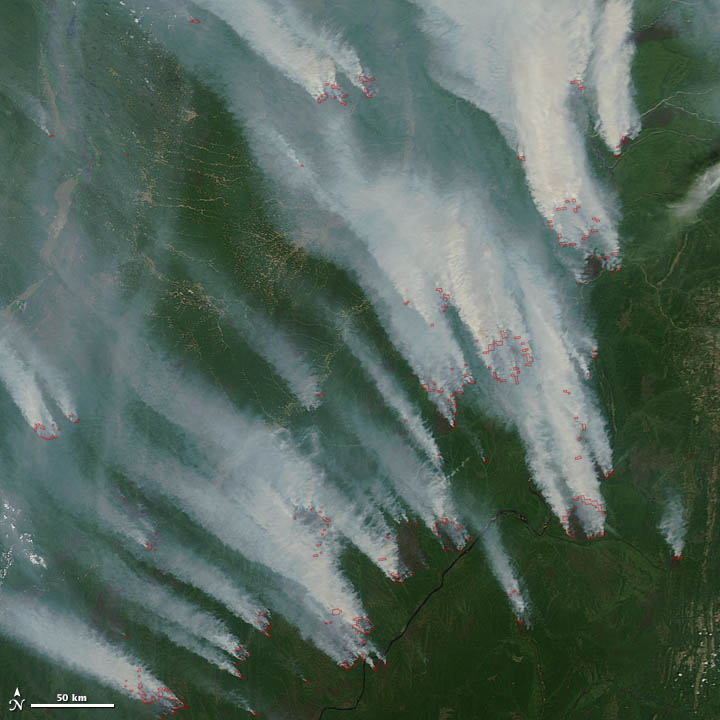 Wildfires in Siberia