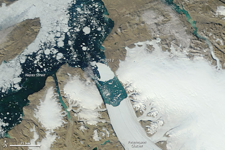 Ice Island Drifts away from Petermann Glacier