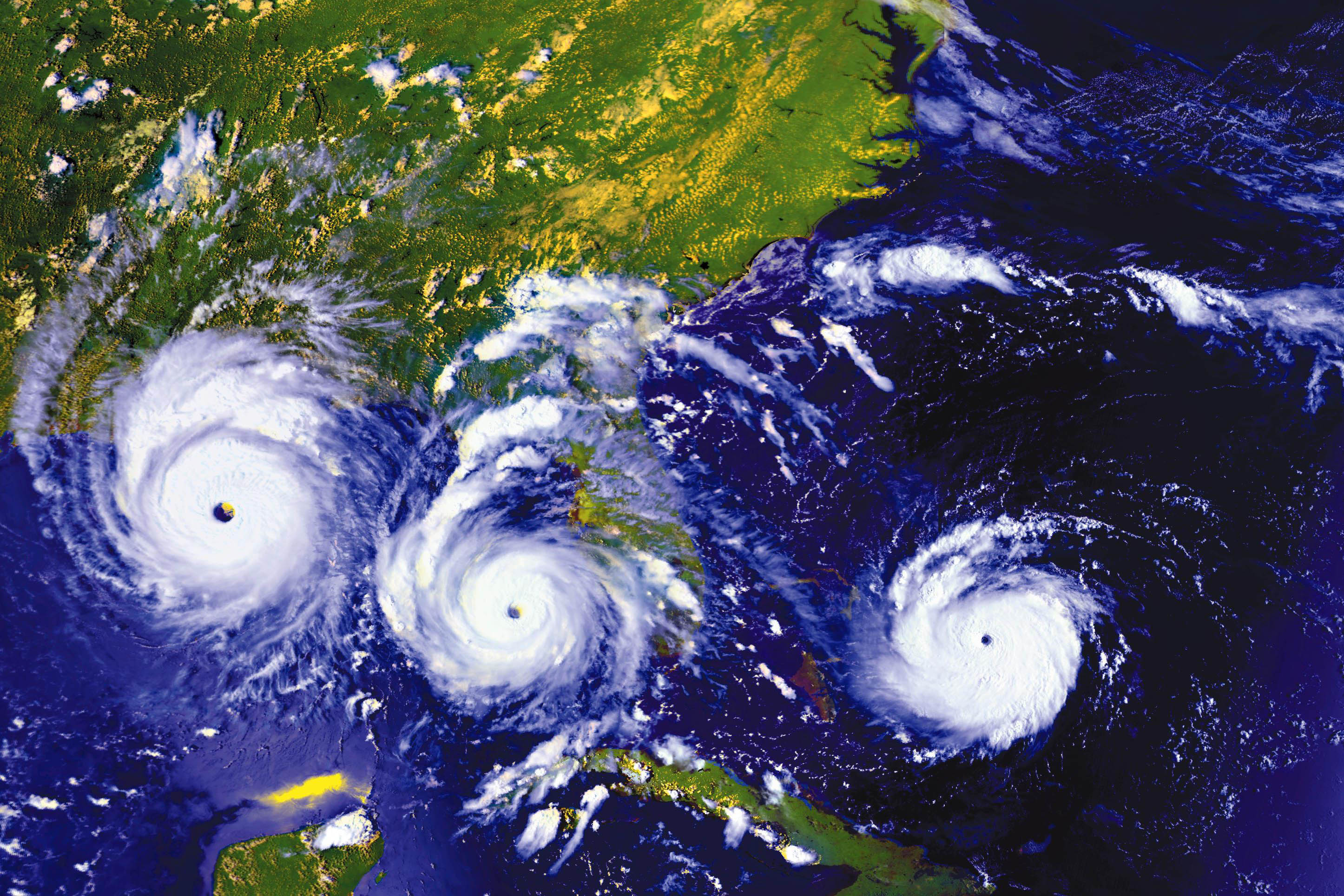 Image result for three hurricanes