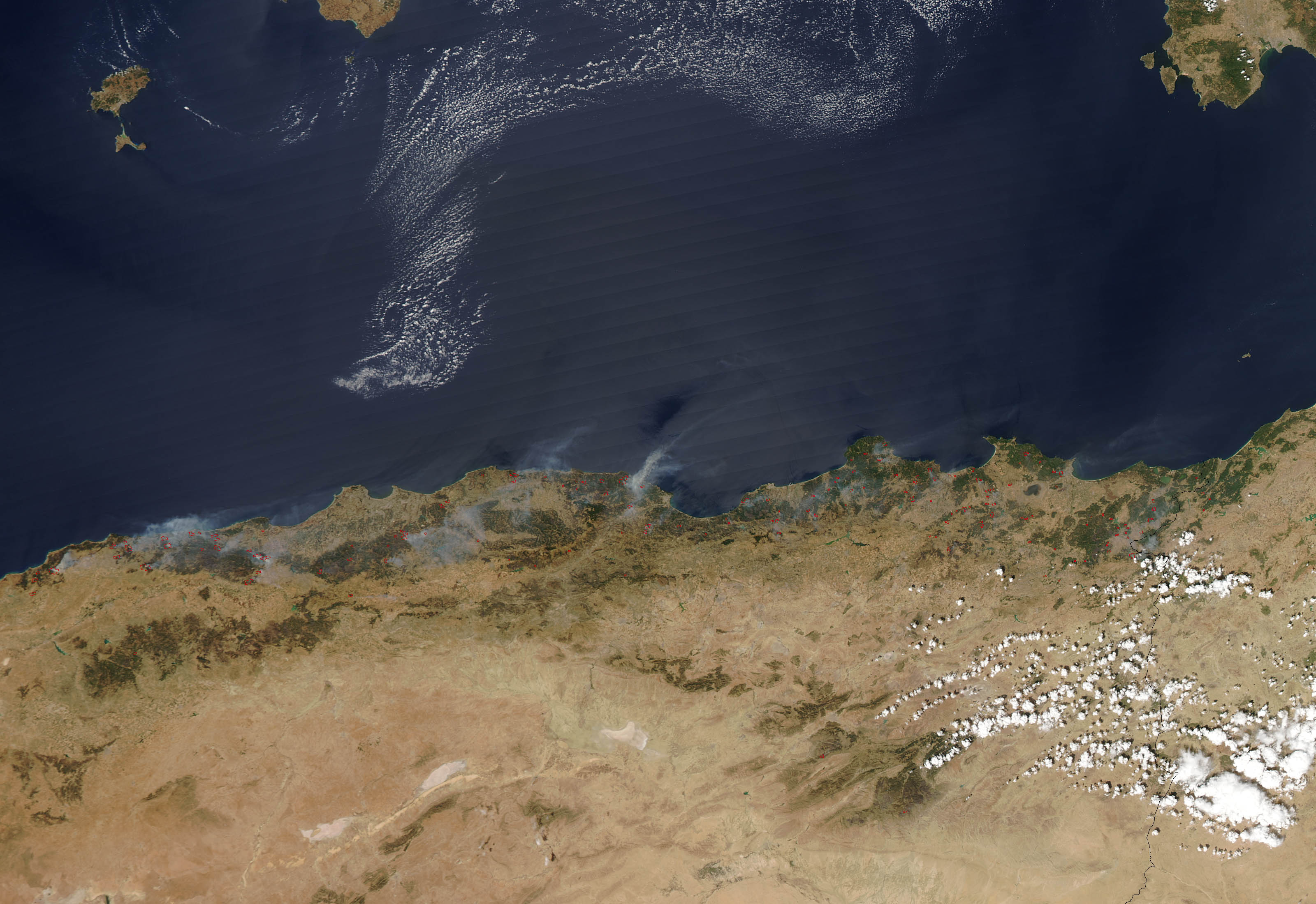 Wildfires in Algeria - related image preview