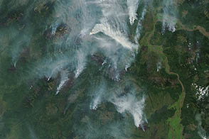 Wildfires in Siberia
