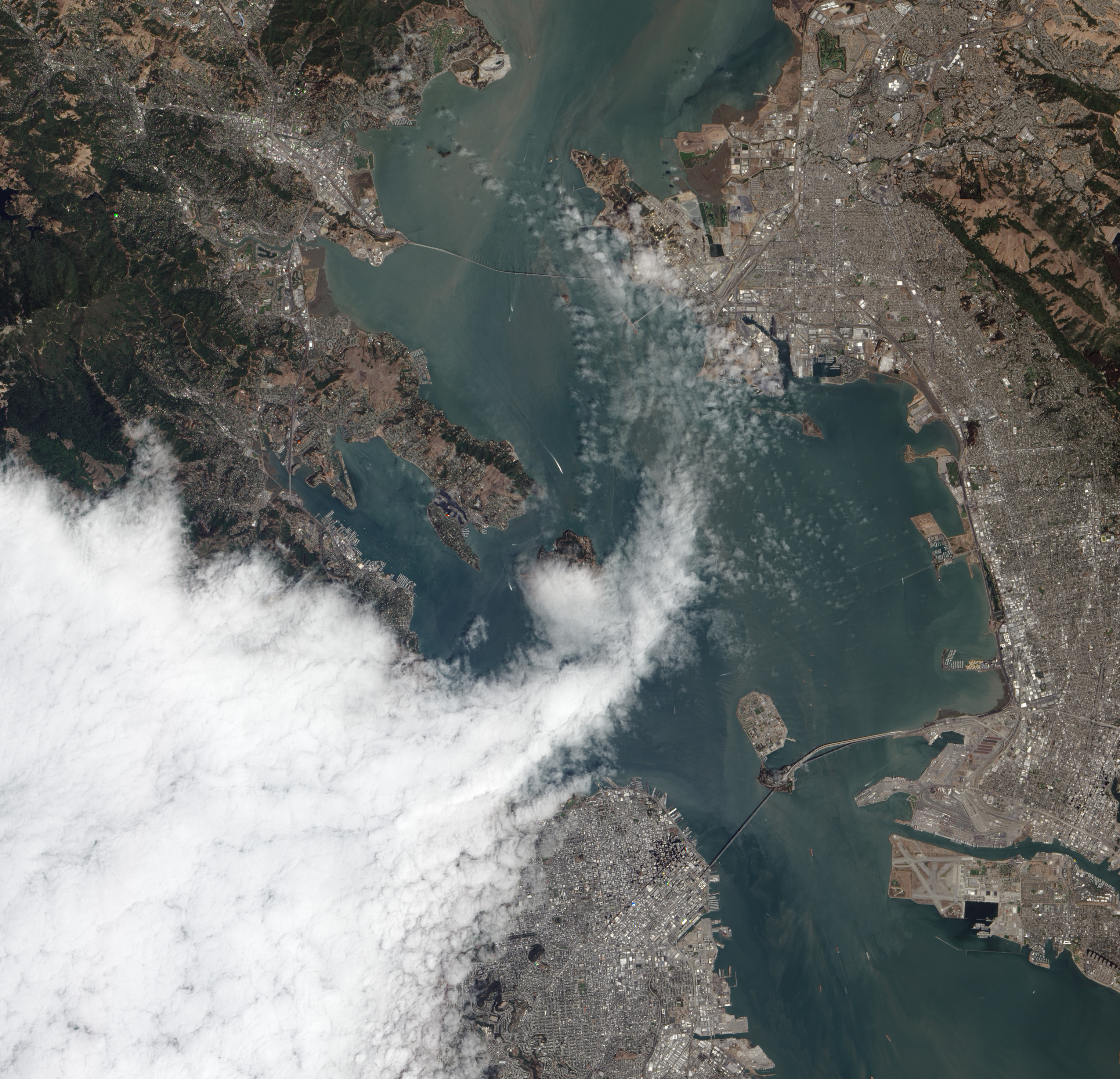 Another Foggy Day in San Francisco - related image preview