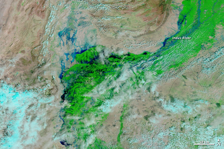 Flooding in Pakistan - related image preview