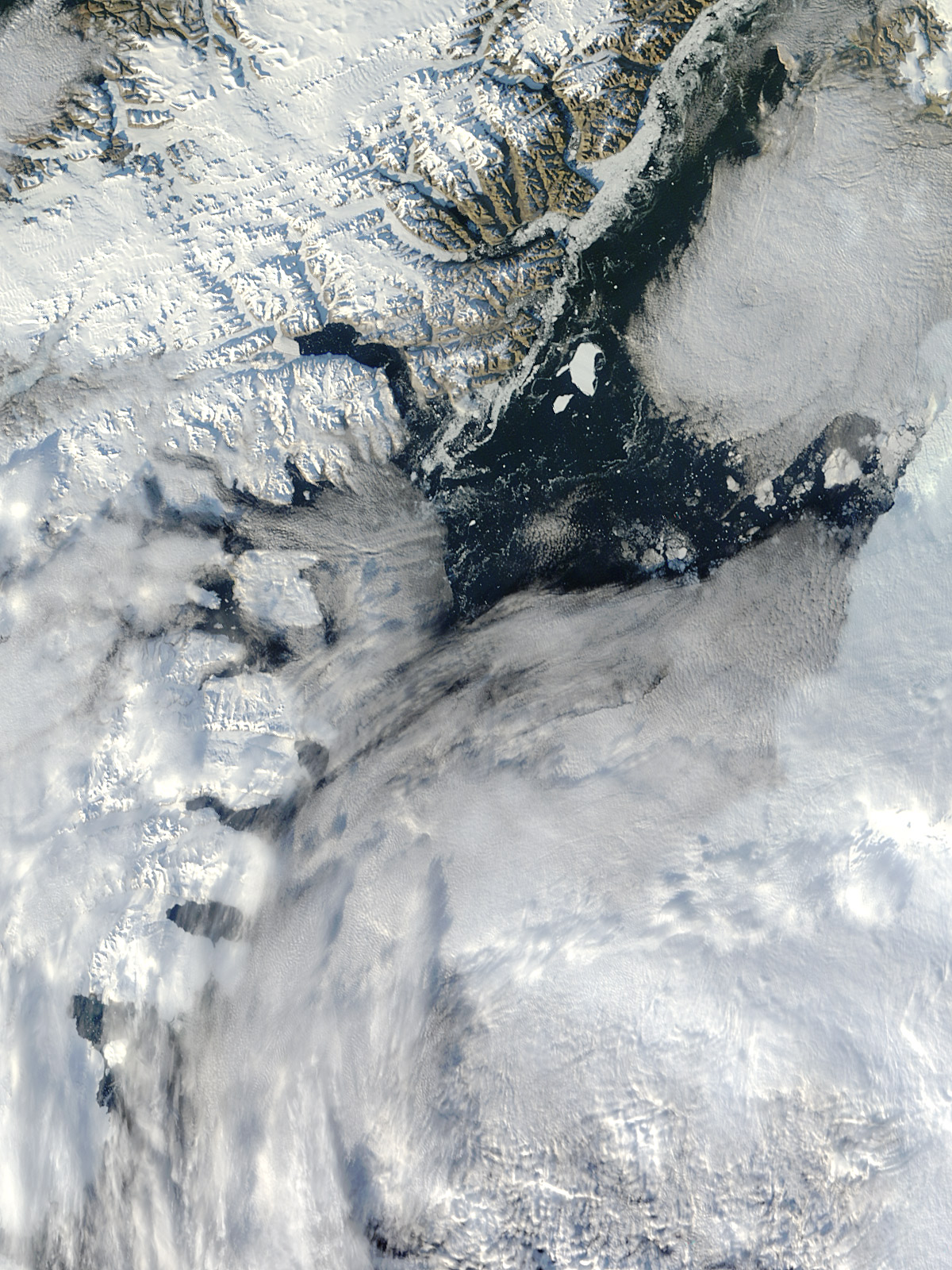 Petermann Ice Island in Nares Strait - related image preview