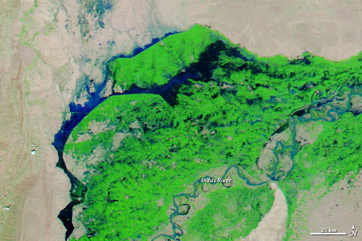 Flooding in Pakistan - related image preview