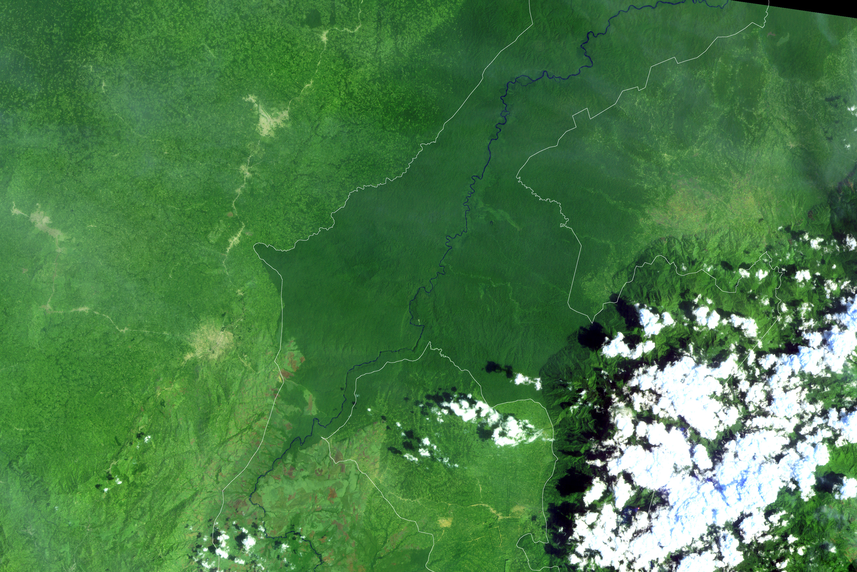 Deforestation in the Democratic Republic of the Congo - related image preview