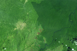 Deforestation in the Democratic Republic of the Congo