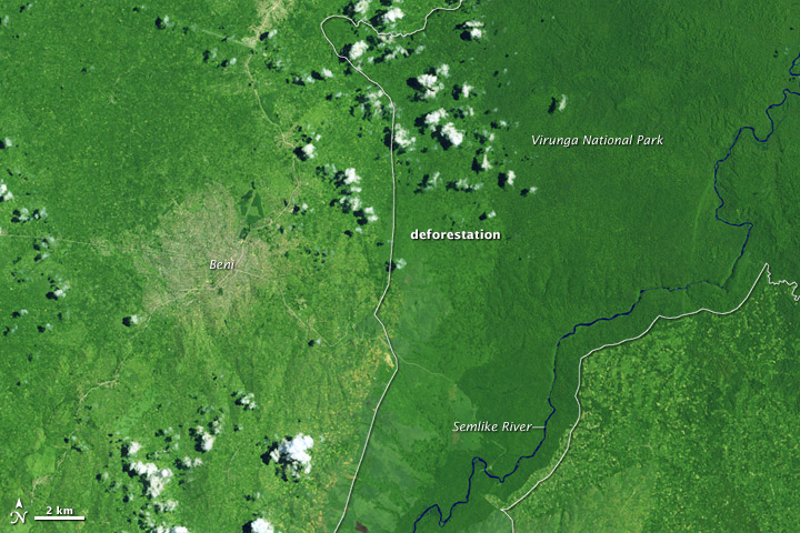 Deforestation in the Democratic Republic of the Congo