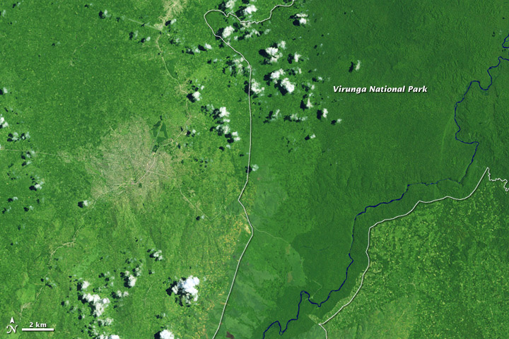 Deforestation in the Democratic Republic of the Congo - related image preview